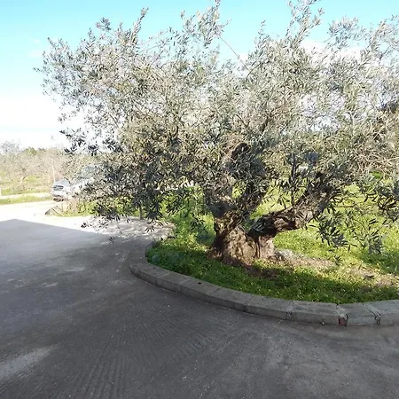 Residenza Rosa Maria Holiday home *
