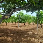 Residenza Rosa Maria Nyaraló Orosei