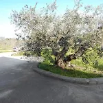 Residenza Rosa Maria Nyaraló *