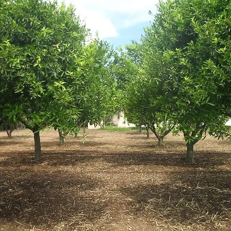 Residenza Rosa Maria בית נופש *